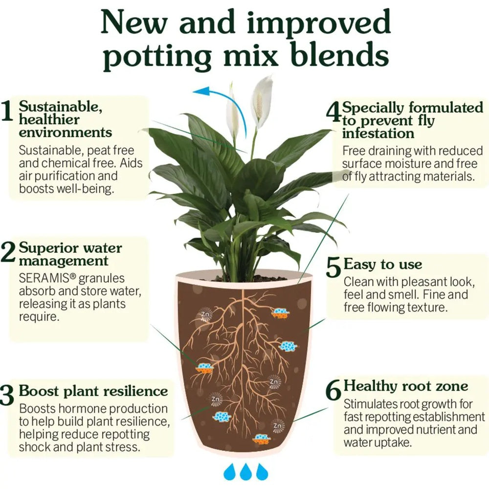 Westland Houseplant Potting Mix - Peat-Free - 4L