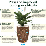 Westland Houseplant Potting Mix - Peat-Free - 4L