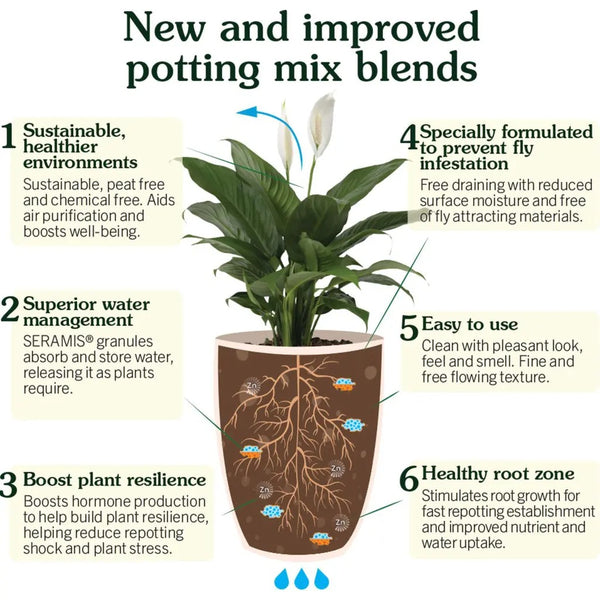 Westland Houseplant Potting Mix - Peat-Free - 4L