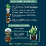 Westland Houseplant Potting Mix - Peat-Free - 4L