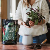 Westland Houseplant Potting Mix - Peat-Free - 4L