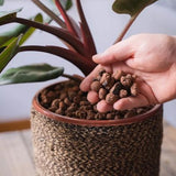 Westland HydroLeca Clay Granules | 10L