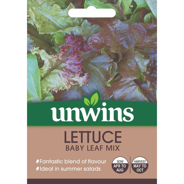 Lettuce Baby Leaf Mix Seeds | Disease Resistant Summer Salad Leaves