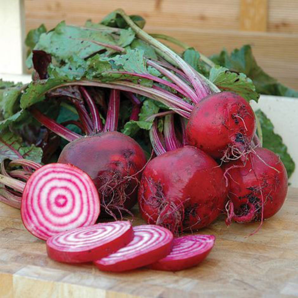 Round Chioggia Beetroot Vegetable Seeds