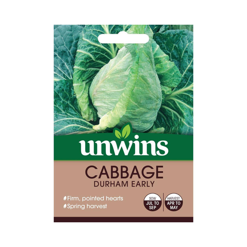 Durham Early Pointed Cabbage Vegetable Seeds