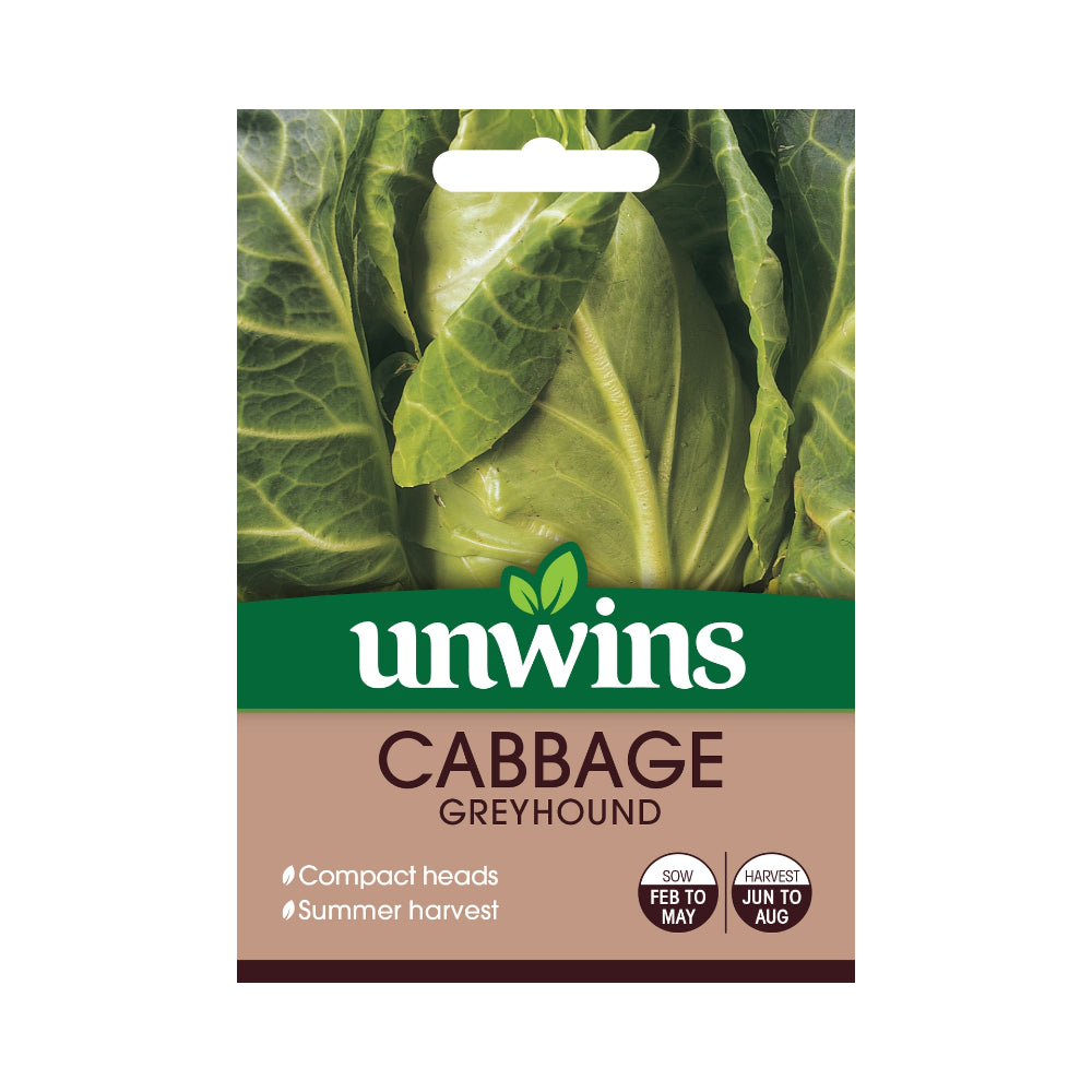Greyhound Pointed Cabbage Seeds