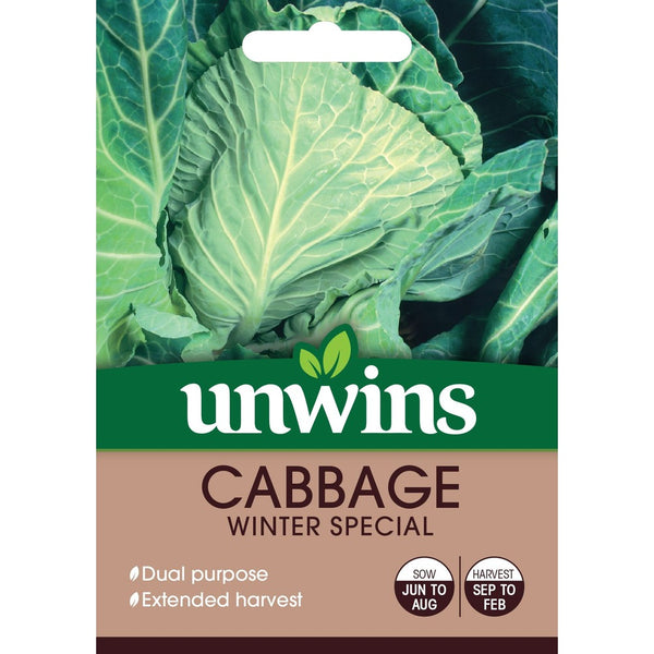 Cabbage Winter Special Seeds | Dual Purpose with Extended Harvest