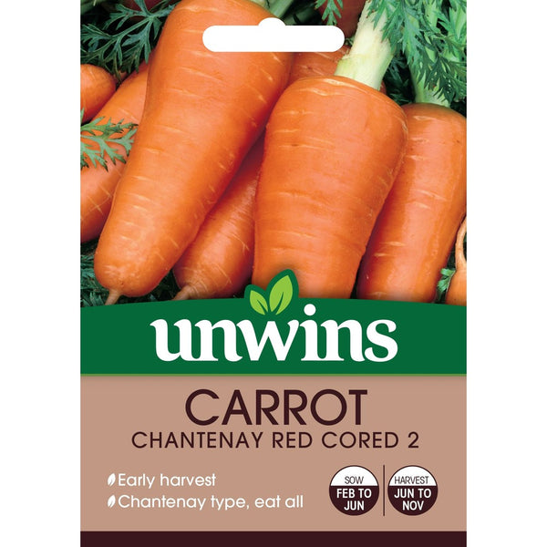 Carrot Chantenay Red Cored 2 Seeds | Early Harvest Variety