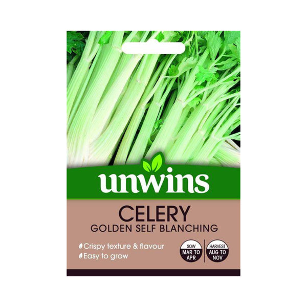 Golden Self Blanching Celery Vegetable Seeds