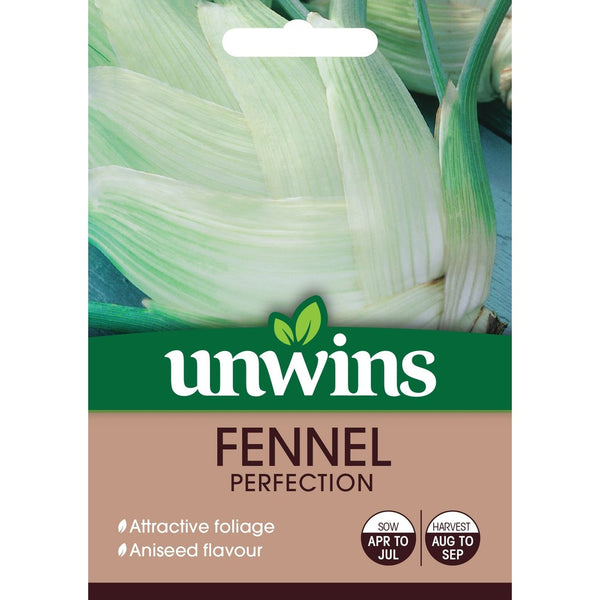 Fennel Perfection Seeds | Aniseed Flavour & Attractive Foliage