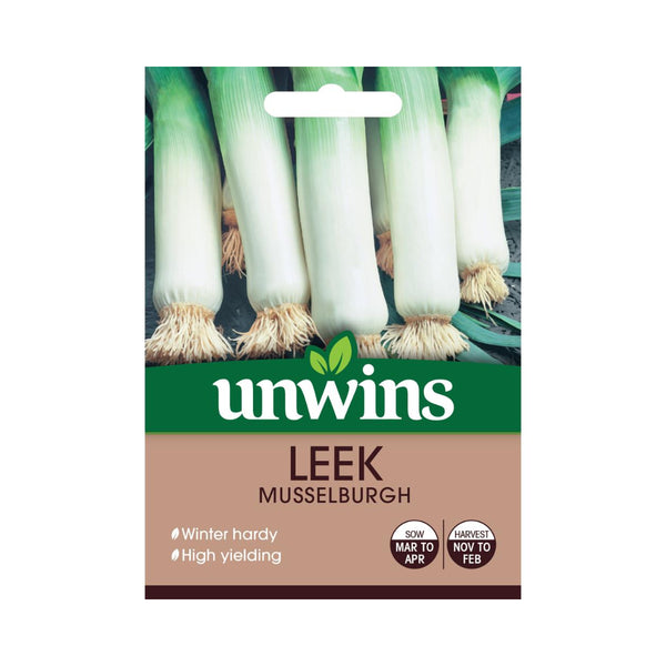 Musselburgh Leek Garden Vegetable Variety Seeds