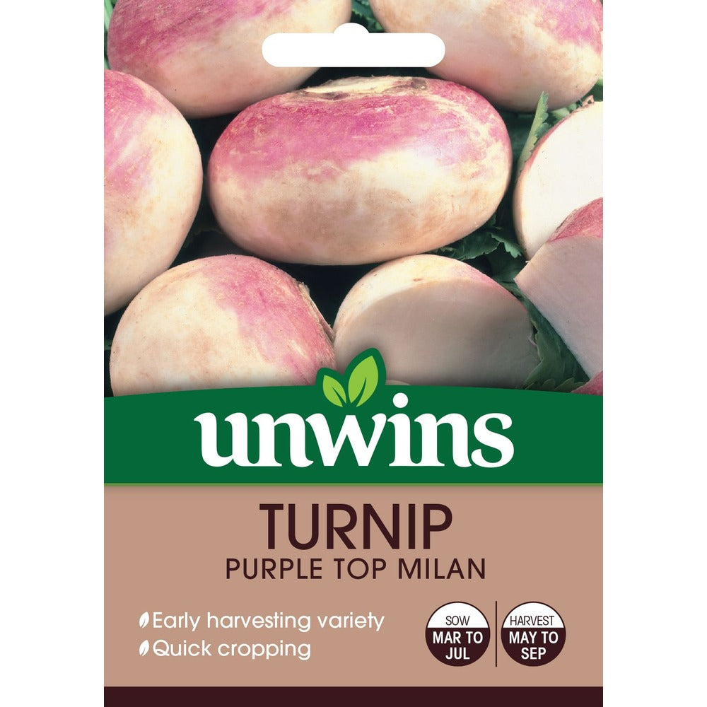 Turnip Purple Top Milan | Early Harvest Variety for Growing