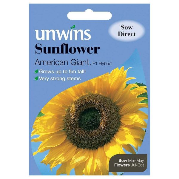 Sunflower American Giant F1 Seeds | Grows Up to 5 Metres Tall