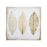 Atmosphera Three Feathers Framed Canvas Wall Art | 58 x 58cm, Gold