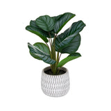 Atmosphera Artificial Maranta Plant | 45cm, Geometric Concrete Pot