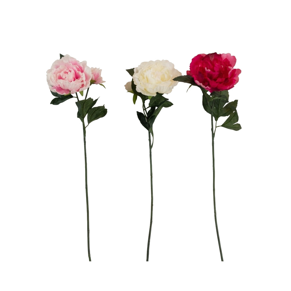 Peony Stem Artificial Flower | Single Stem | 3 Assorted Options