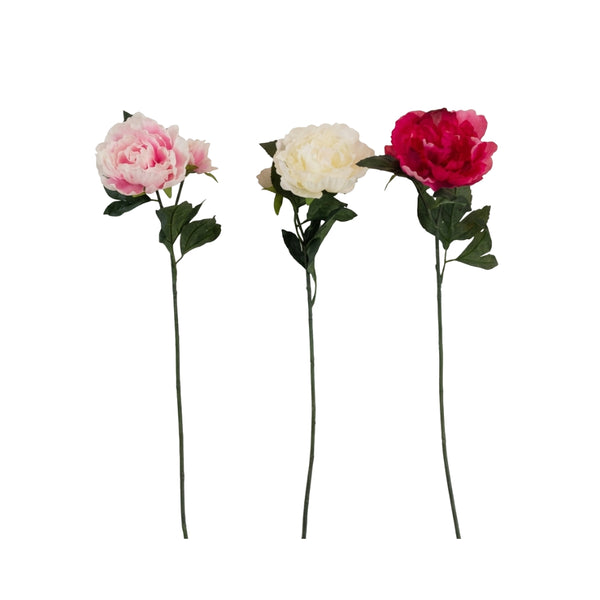 Peony Stem Artificial Flower | Single Stem | 3 Assorted Options