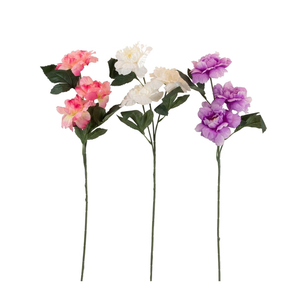 Camelia Stem 3pc Assorted Colours | 3 Assorted Colours