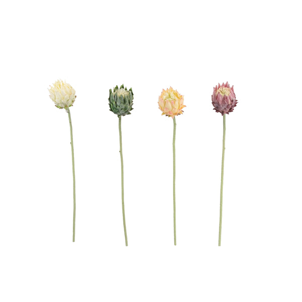 Protea Stem | 4 Assorted Colours, 64cm