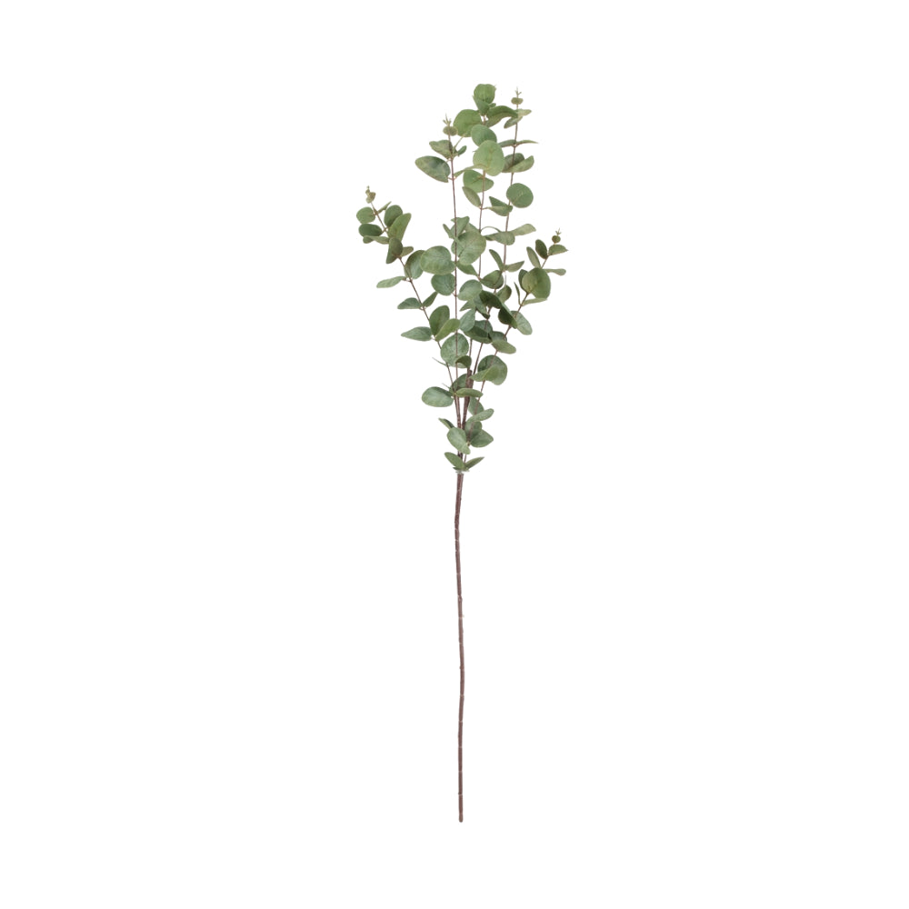 Eucalyptus Stem 104cm | Perfect for Any Room