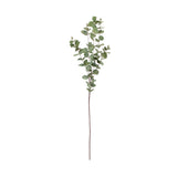Eucalyptus Stem 104cm | Perfect for Any Room