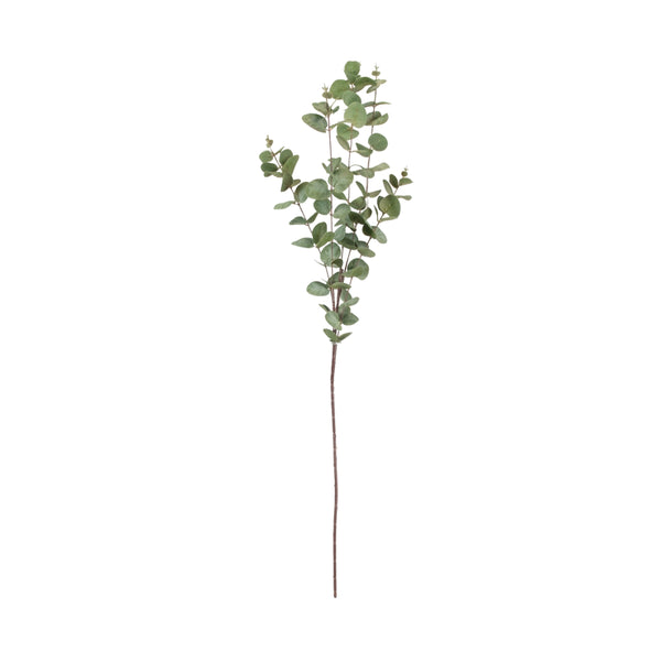 Eucalyptus Stem 104cm | Perfect for Any Room