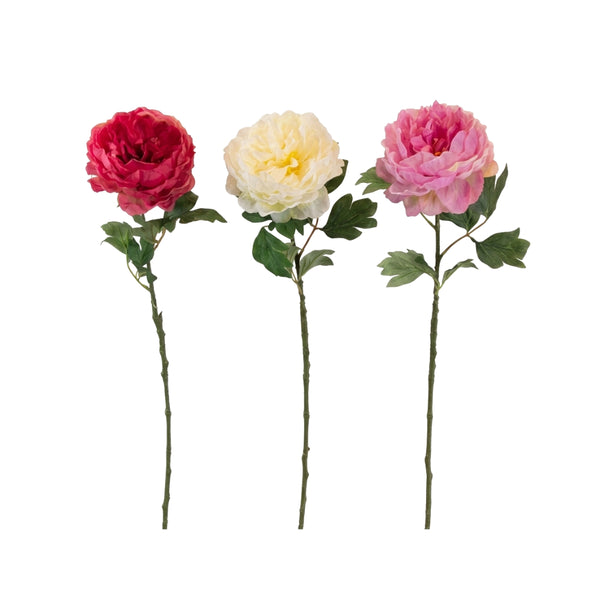 Artifical Peony Stem 3 Colours 71cm | 3 Assorted Colours