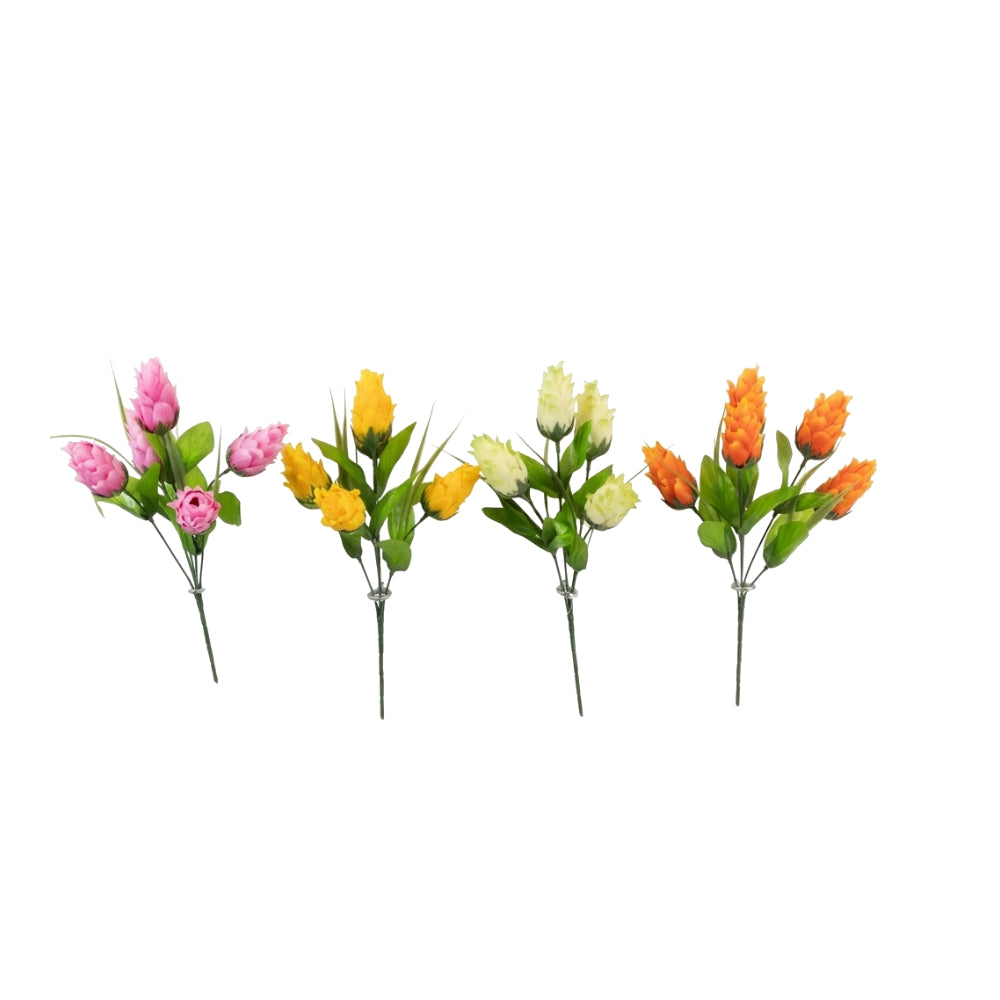 Dragon Fruit Bush | Assorted Colours
