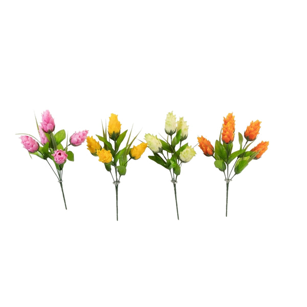 Dragon Fruit Bush | Assorted Colours