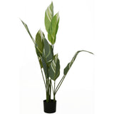 White Jade Faux Plant in Black Pot | 118cm Tall Decorative Plant