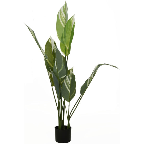 White Jade Faux Plant in Black Pot | 118cm Tall Decorative Plant