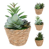 Artificial Succulent Plant in Seagrass Basket | 16cm, Assorted Designs