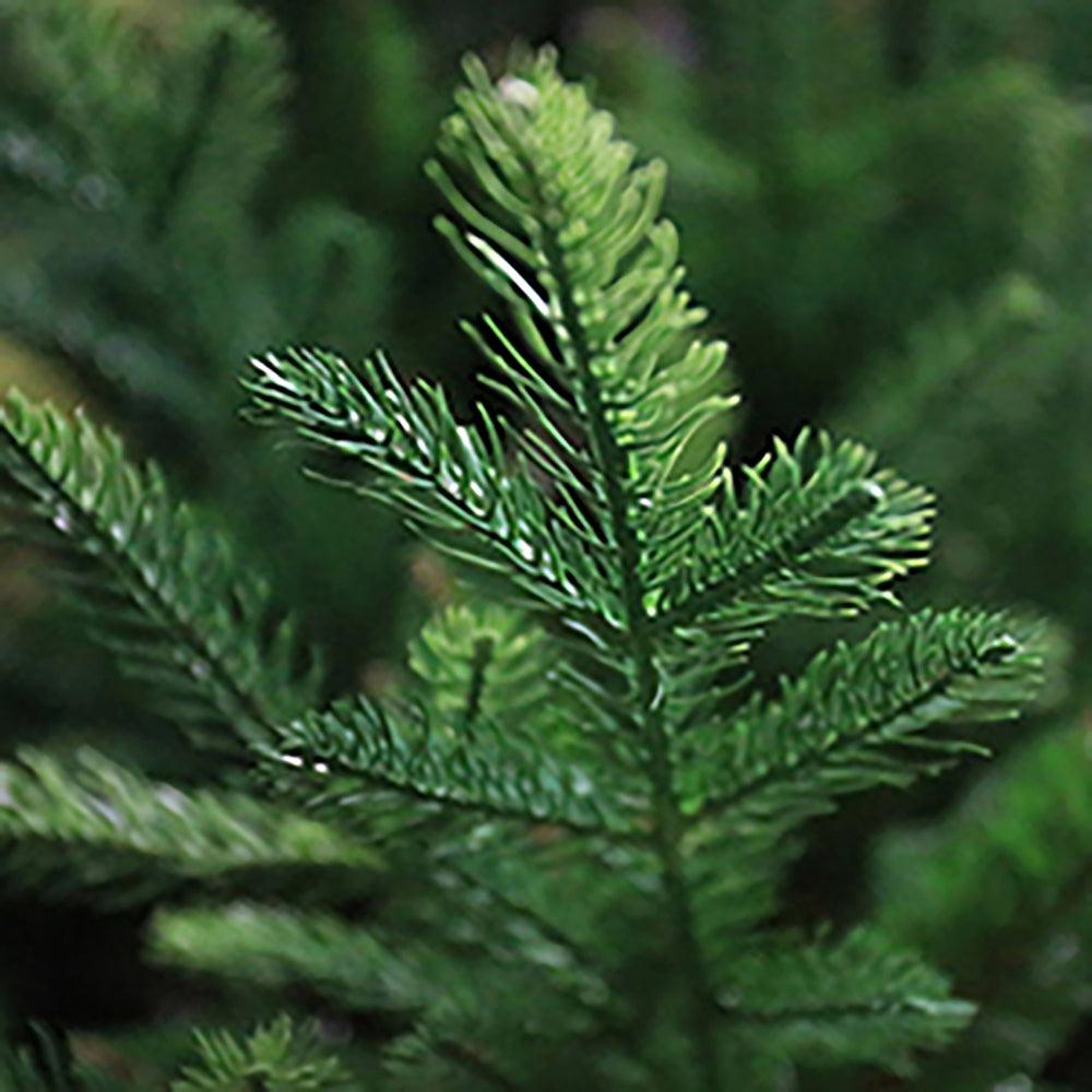 Portmagee Pine Mixed Tips Artificial Christmas Tree