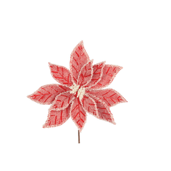 Christmas Red/White Poinsettia Stem Decoration | 60 x 30cm, Frosted Edges