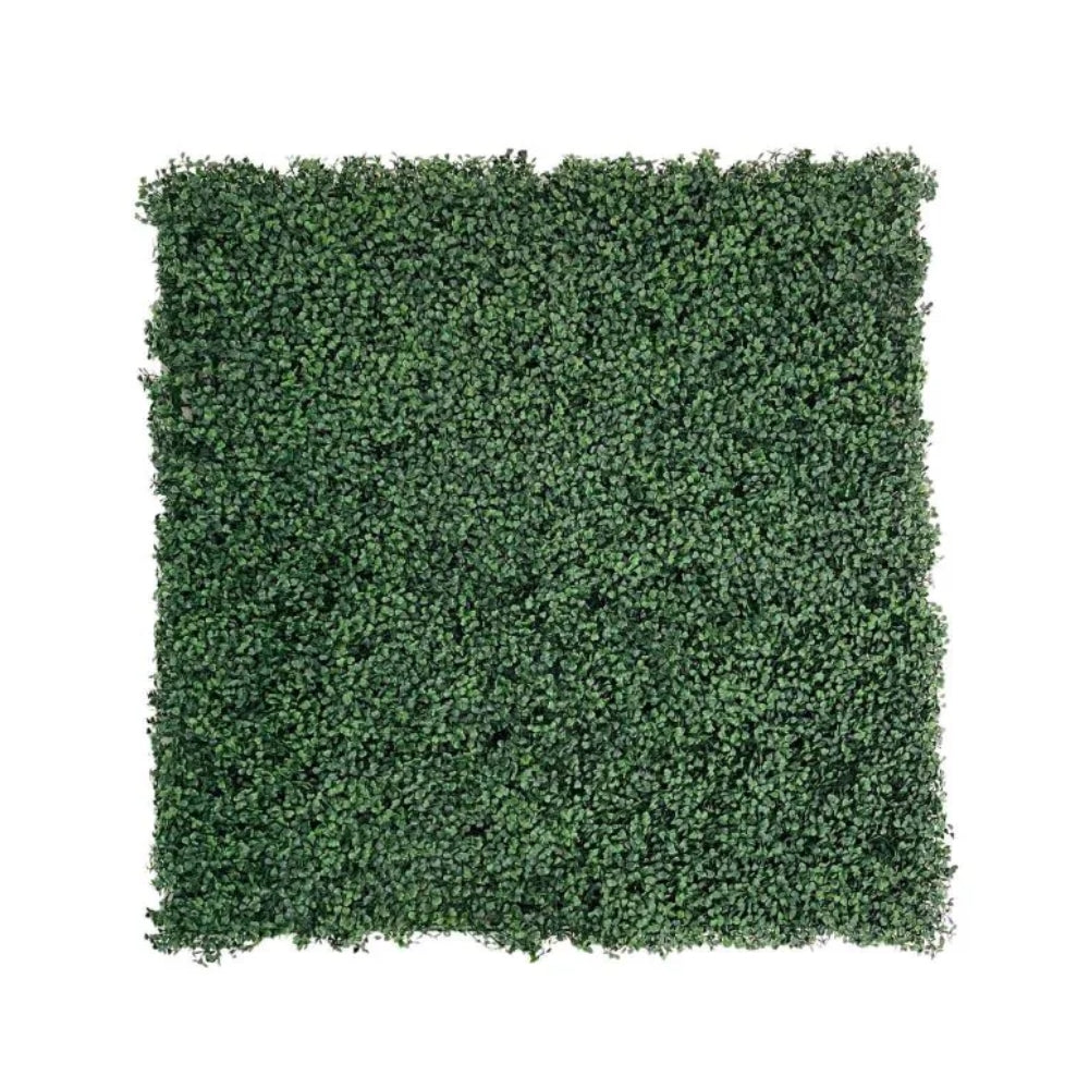 WonderWal Expandable Trellis Buxus Wall Cover | 100 x 100cm