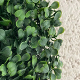 WonderWal Expandable Trellis Buxus Wall Cover | 100 x 100cm