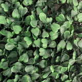 WonderWal Expandable Trellis Buxus Wall Cover | 100 x 100cm