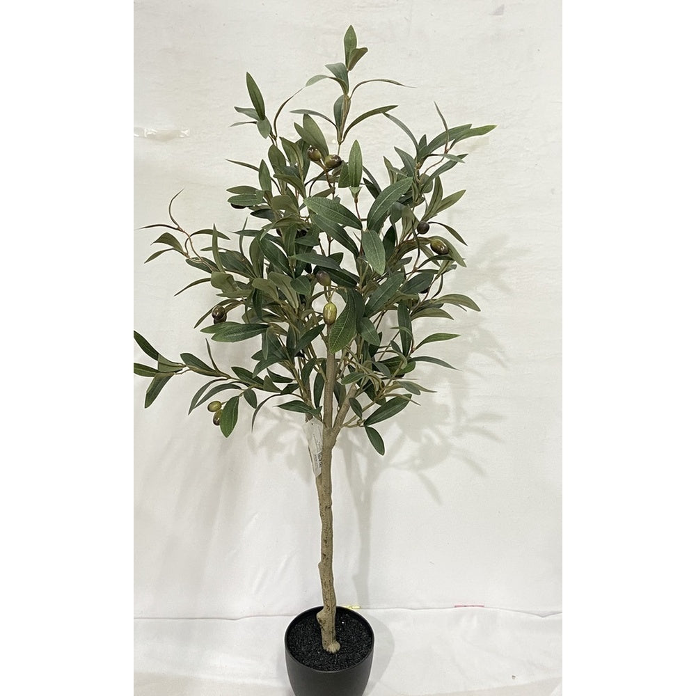 Olive Tree with Moss - 100cm