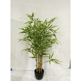 Bamboo Tree with Moss - 100cm