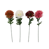 Pom Pom Stem | Assorted Designs