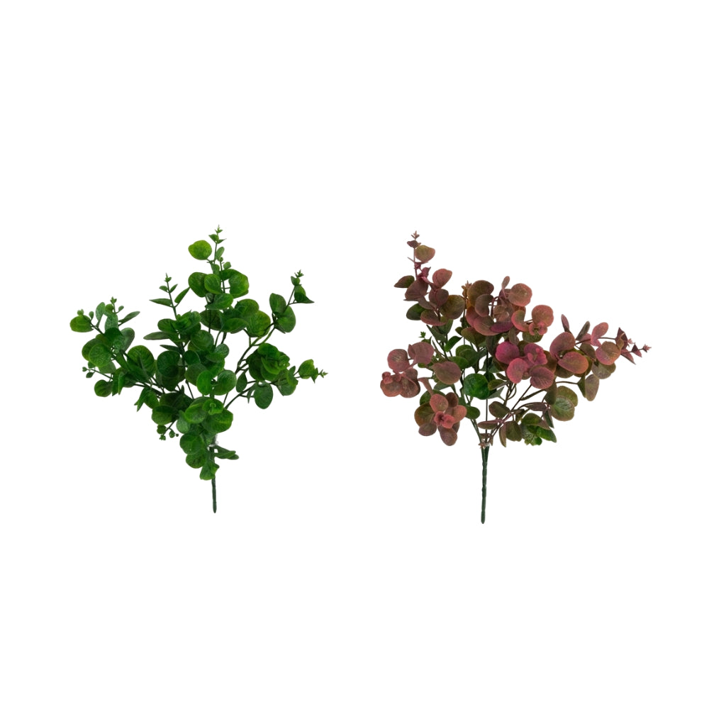 Eucalyptus Bush Assorted Designs | One Supplied — Assorted Designs