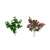 Eucalyptus Bush Assorted Designs | One Supplied — Assorted Designs