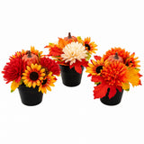 Mini Potted Autumn Floral Arrangements - 15cm, 3 Assorted Designs
