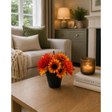 Mini Potted Autumn Floral Arrangements - 15cm, 3 Assorted Designs