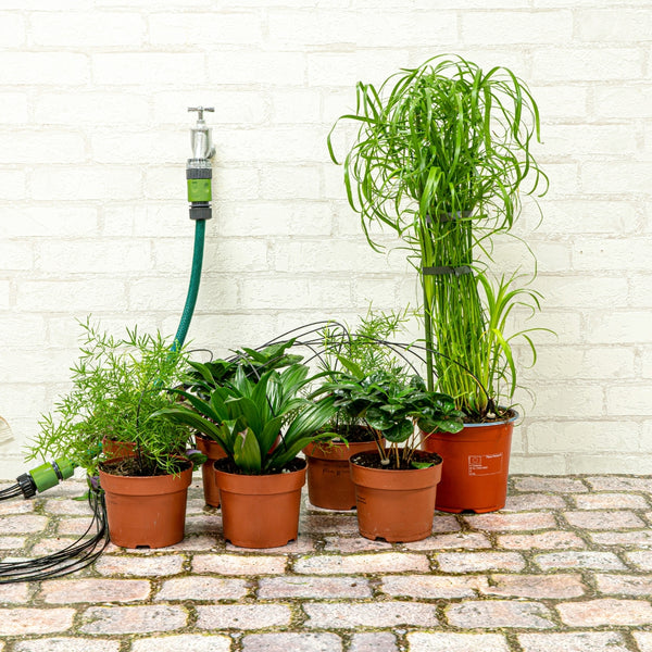 Kinzo Watering Drip Kit | 10 Pieces Heads