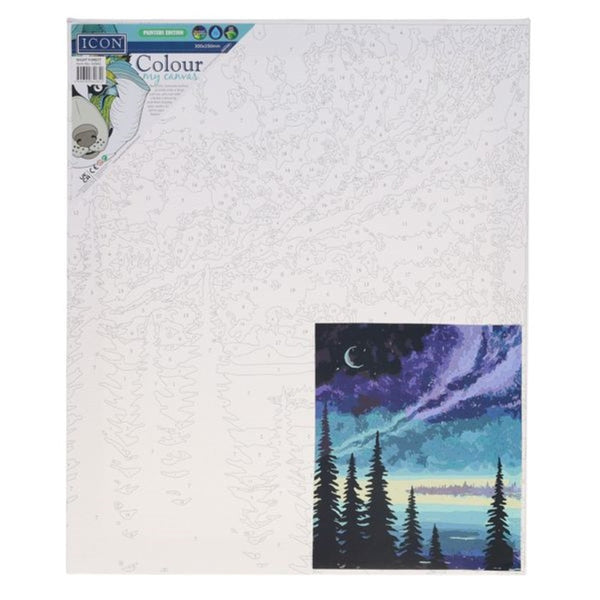 Icon Premium Paint by Numbers Kit - Starry Night Canvas