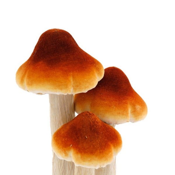 SIL Velvet Mushrooms Décor | 17.5cm
