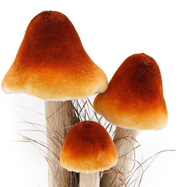 SIL Velvet Mushrooms Décor | 27cm Lifelike Autumn Centerpiece
