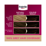 Palette Deluxe Permanent Hair Colour | 3-0 Dark Brown, 100% Grey Coverage
