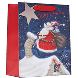 Christmas Jolly Santa Medium Gift Bag | Assorted Designs, Reusable